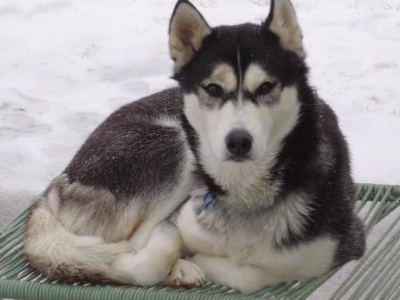 Natasha chillin' in the cold!